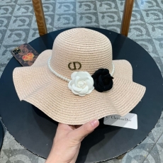 Christian Dior Caps